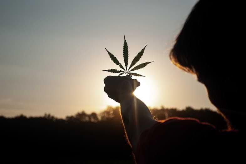 Le 420 devient un symbole de la culture du cannabis