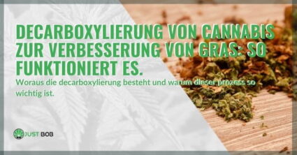 Decarboxylierung von Cannabis zur Verbesserung von Gras