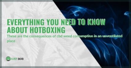 Everything you need to know about hotboxing