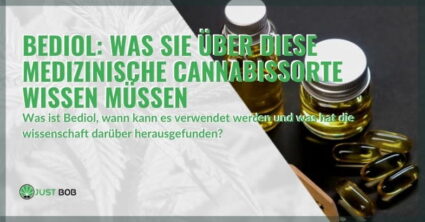 Bediol: Was Sie über diese medizinische Cannabissorte wissen müssen