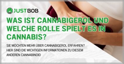 Was ist Cannabigerol und welche Rolle spielt es in Cannabis?