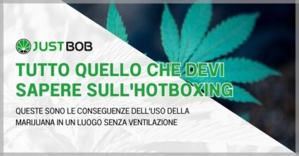 Tutto quello che devi sapere sull'hotboxing