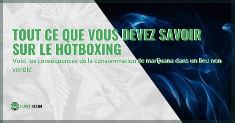 Tout ce que vous devez savoir sur le hotboxing