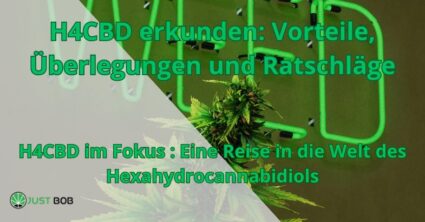 H4CBD erkunden: Vorteile, Überlegungen und Ratschläge