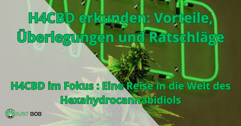 H4CBD erkunden: Vorteile, Überlegungen und Ratschläge