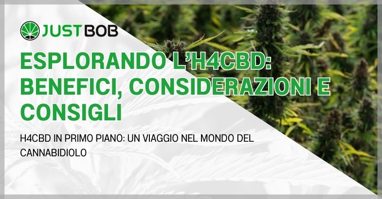 Esplorando l’H4CBD: benefici