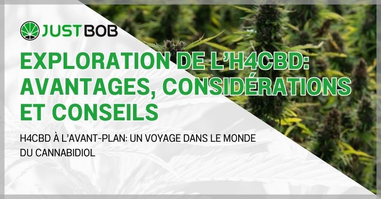 Exploration de l’H4CBD: avantages