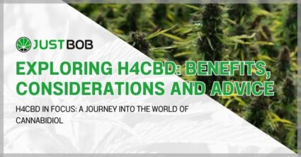 Exploring H4CBD: benefits, considerations and advice