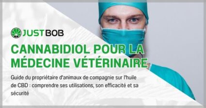 Cannabidiol pour la médecine vétérinaire