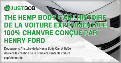 The Hemp Body Car : histoire de la voiture expérimentale