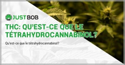 THC: qu’est-ce que le tétrahydrocannabinol?