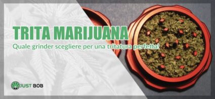 Trita marijuana: che cos’è