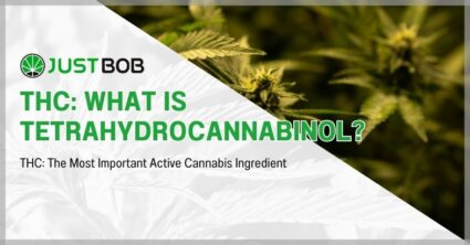 THC: What is Tetrahydrocannabinol?