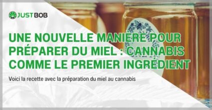 Miel : cannabis comme le premier ingrédient