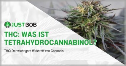 THC: Was ist Tetrahydrocannabinol?