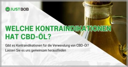 Welche Kontraindikationen hat CBD-Öl?